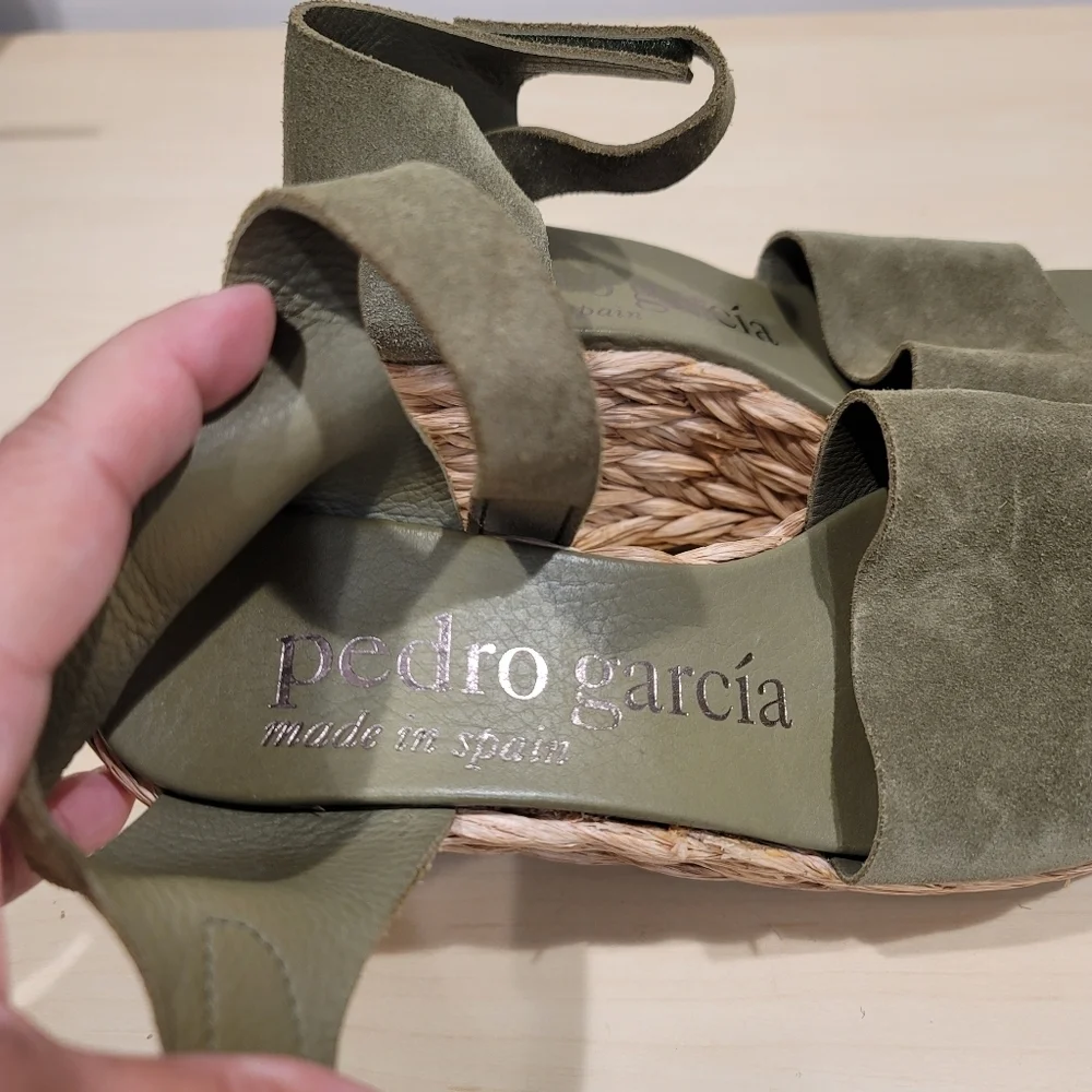 Pedro Garcia Dory Platform Espadrilles Thyme Castoro Suede Braided Jute 39.5 EU